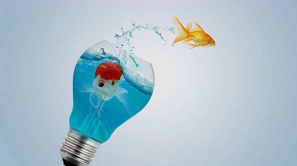 創(chuàng)意視頻制作